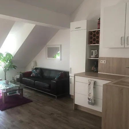 Old Bridge View Apartment Heidelberg Esterno foto