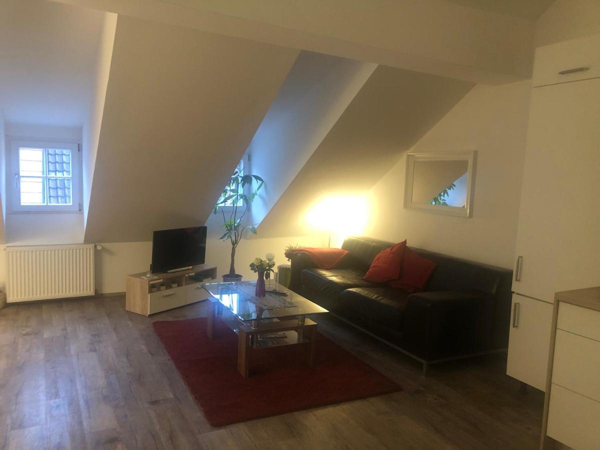 Old Bridge View Apartment Heidelberg